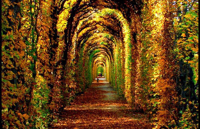 eight perfect spots to take a walk spend time with autumn s red