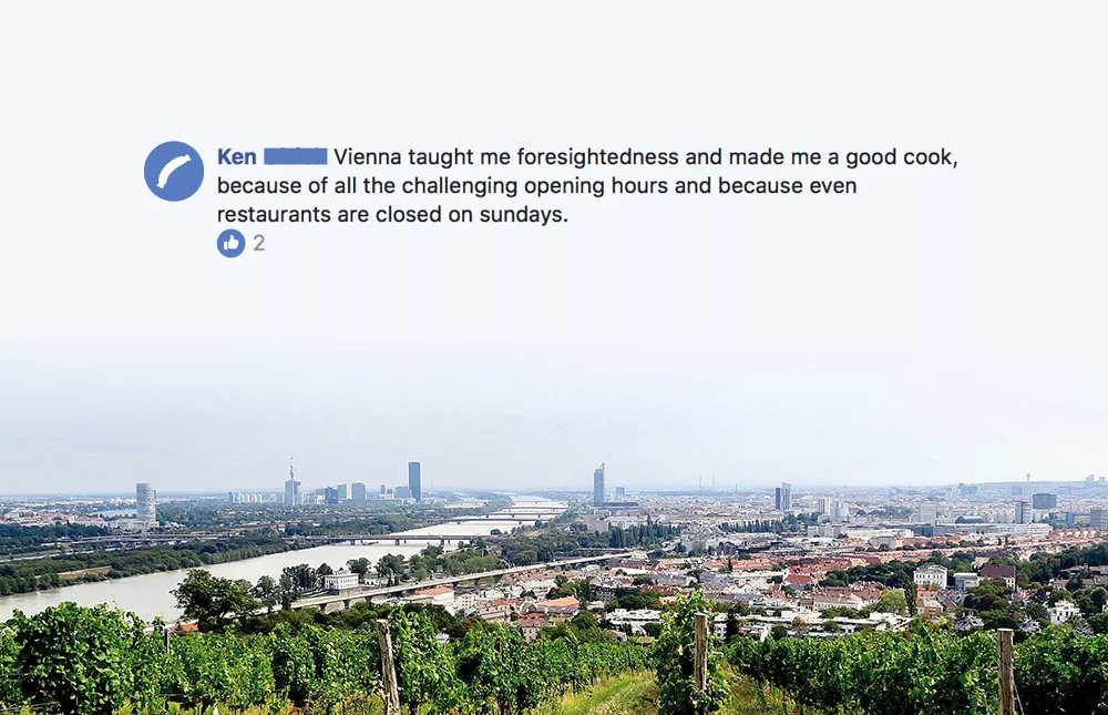 Why We Love Vienna