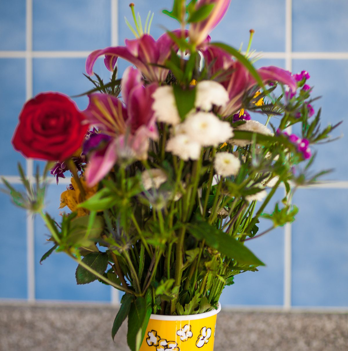 The Vienna Expat survival guide 13 ultimate tips for internationals moving to, or living in