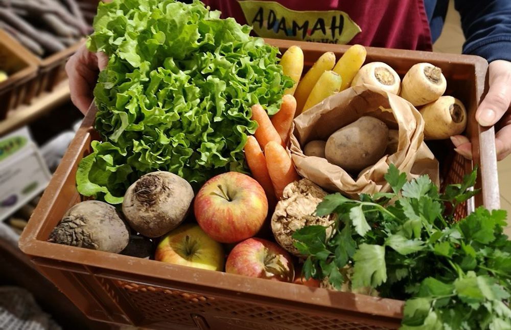 food boxes delivered to your door